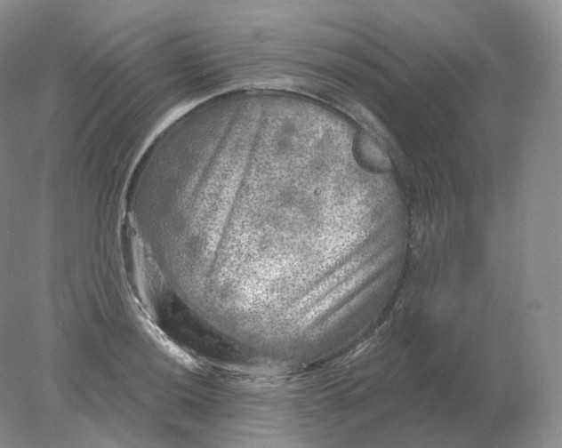 X0000078301036200611172143