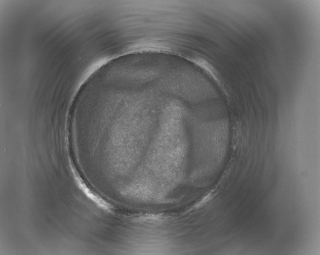 X0000078301038200611172143