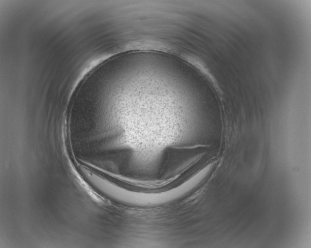 X0000078301040200611172143