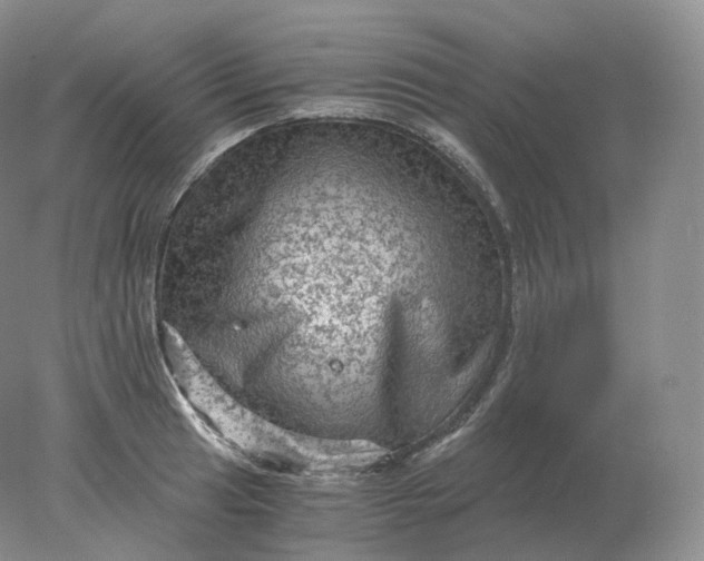 X0000078301041200611172143