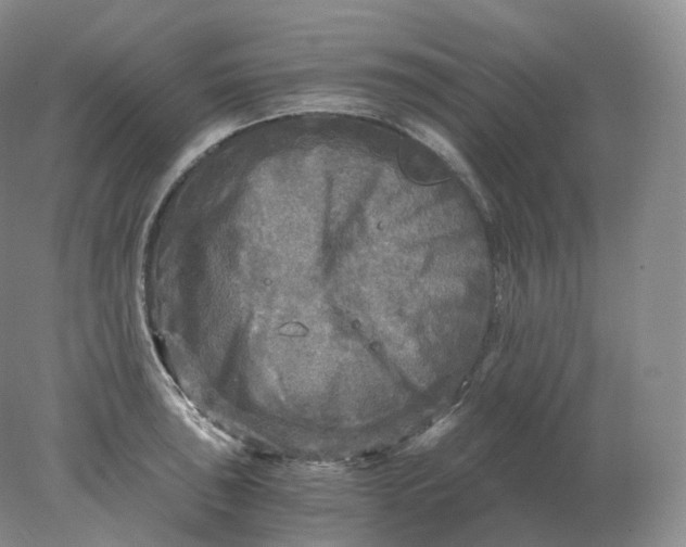 X0000078301043200611172143