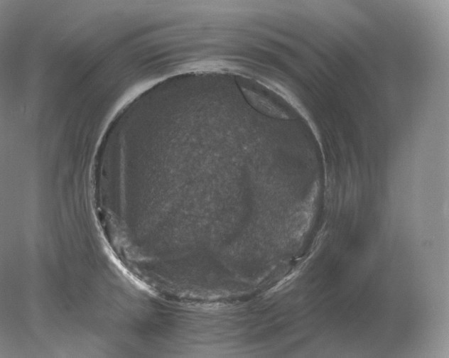 X0000078301045200611172143