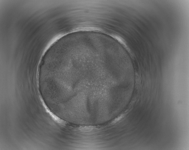 X0000078301046200611172143