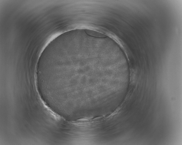 X0000078301048200611172143