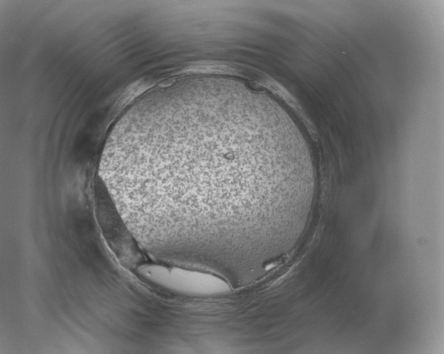 X0000078301049200611172143