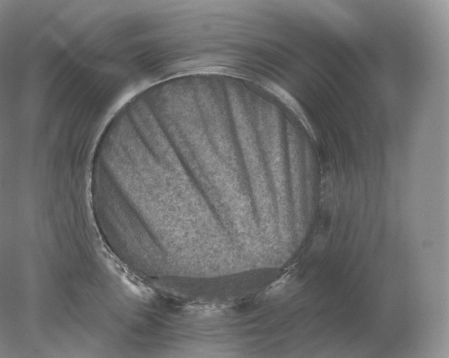 X0000078301051200611172143