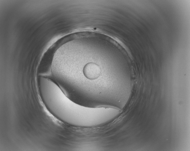 X0000078301054200611172143