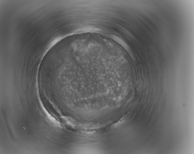 X0000078301055200611172143