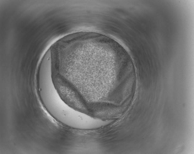 X0000078301056200611172143