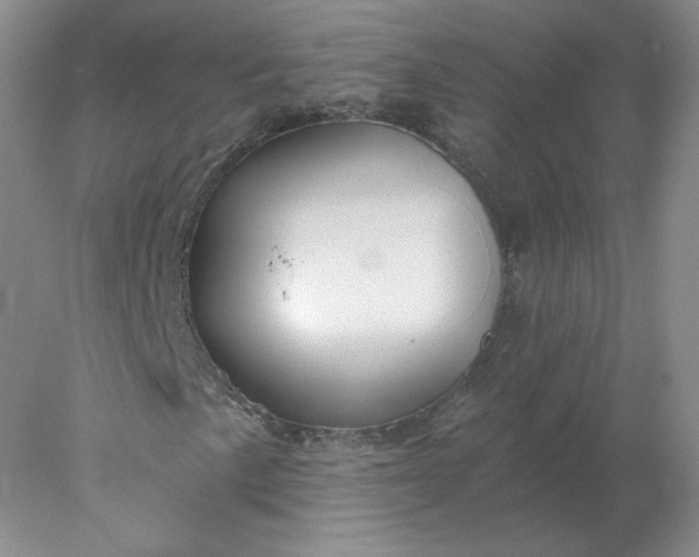 X0000078301057200611172142