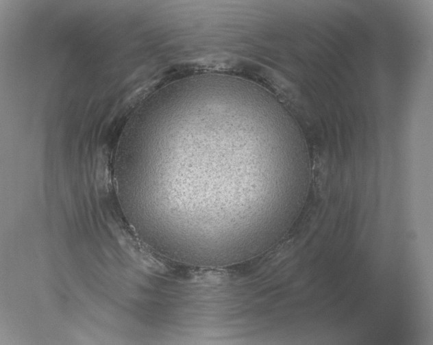 X0000078301058200611172142