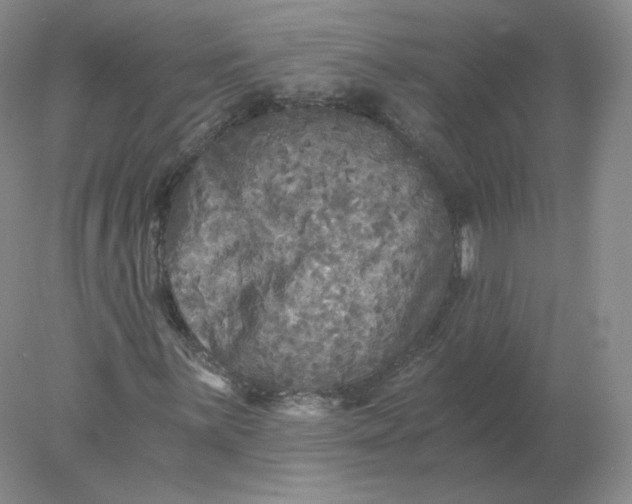 X0000078301059200611172142