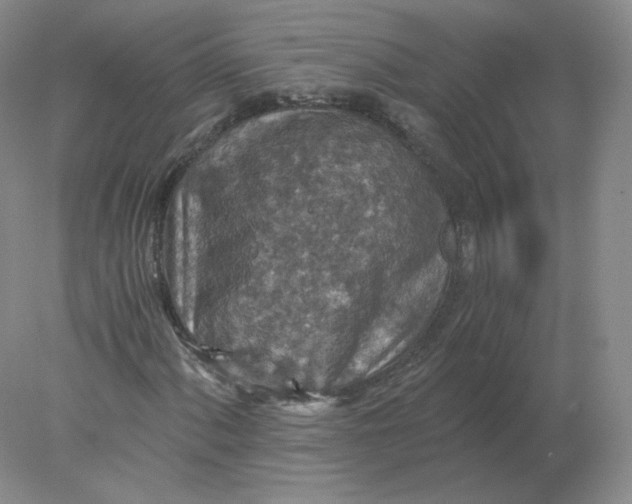 X0000078301060200611172142