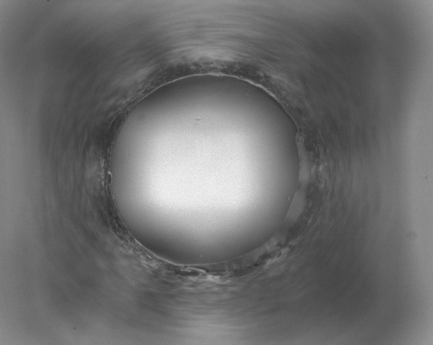 X0000078301061200611172142