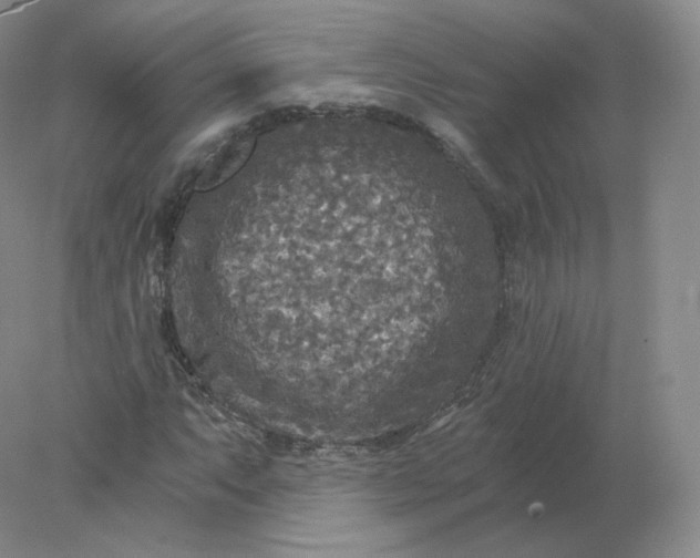 X0000078301063200611172142