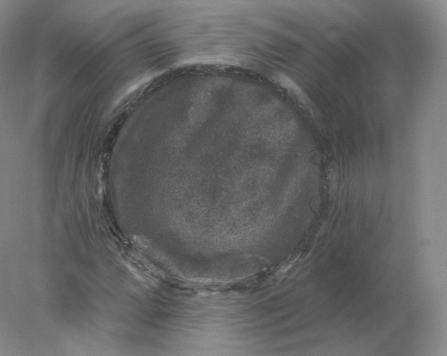 X0000078301064200611172142