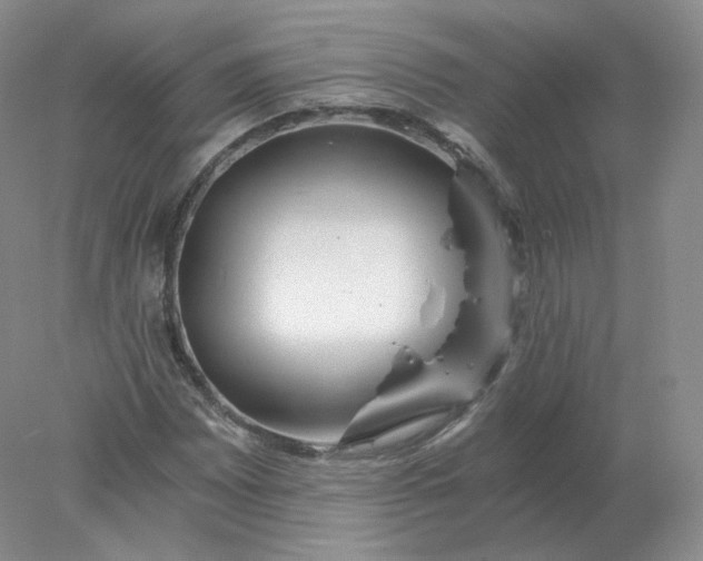 X0000078301065200611172142