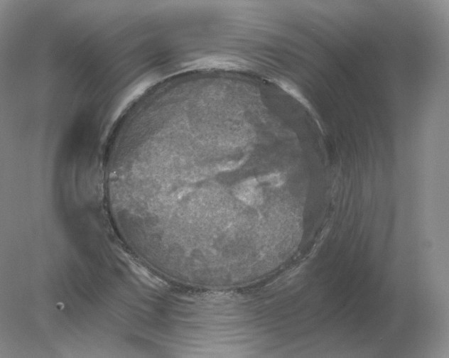 X0000078301067200611172142