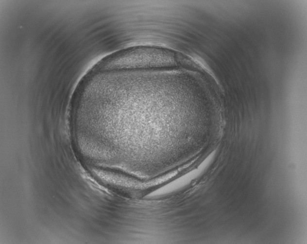 X0000078301068200611172142