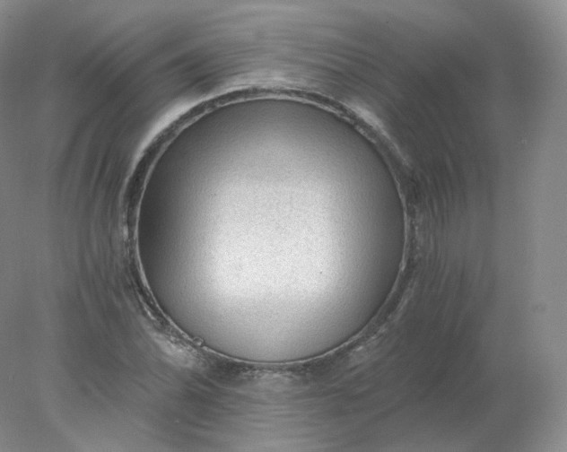 X0000078301070200611172142