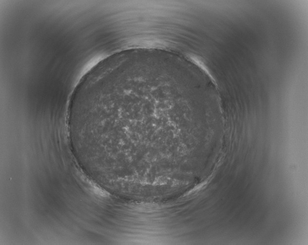 X0000078301071200611172142