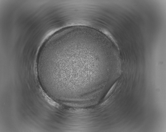 X0000078301072200611172142