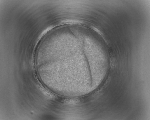 X0000078301074200611172142