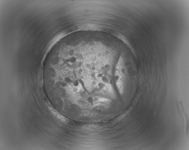 X0000078301075200611172142