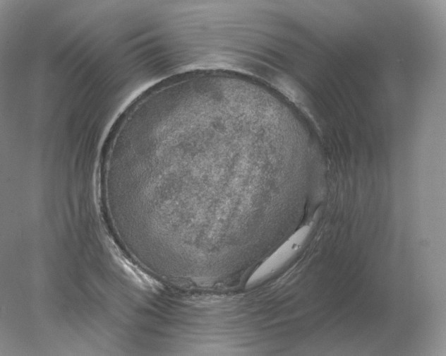 X0000078301076200611172142