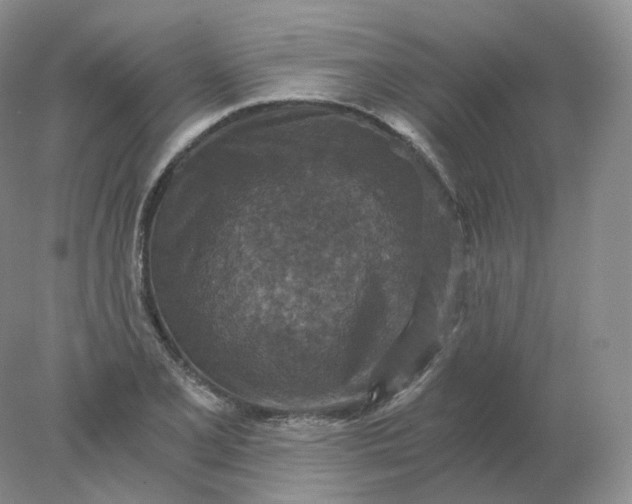 X0000078301077200611172142