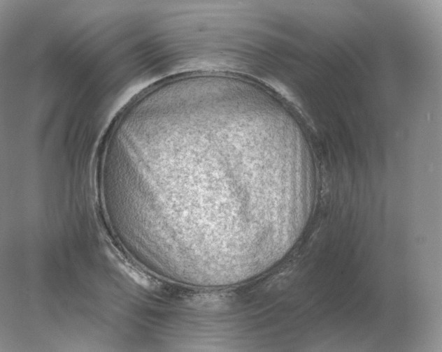 X0000078301078200611172142