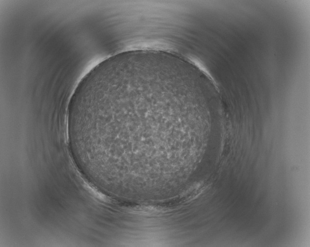 X0000078301079200611172142