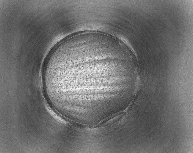 X0000078301080200611172142