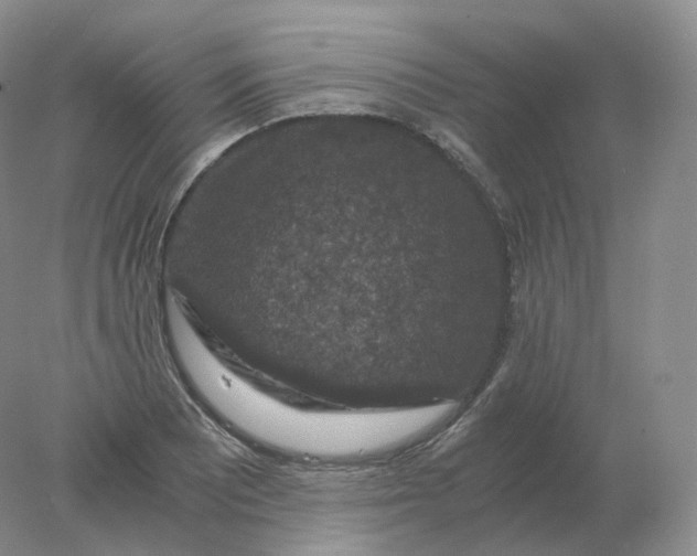 X0000078301081200611172142