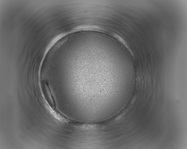 X0000078301082200611172142