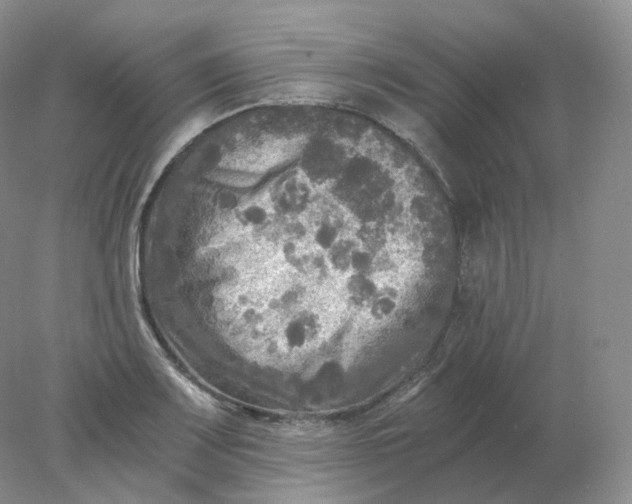 X0000078301083200611172142