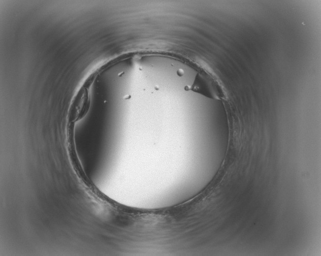 X0000078301085200611172142