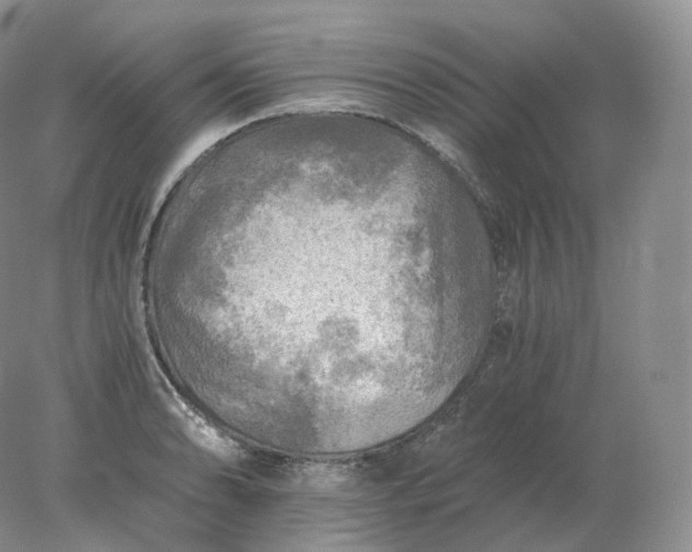 X0000078301086200611172142