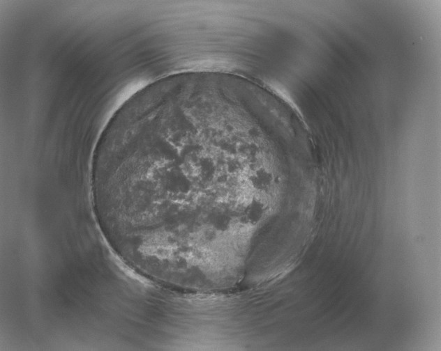 X0000078301087200611172142