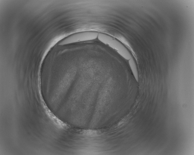 X0000078301088200611172142