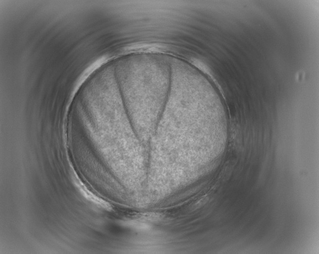 X0000078301090200611172142