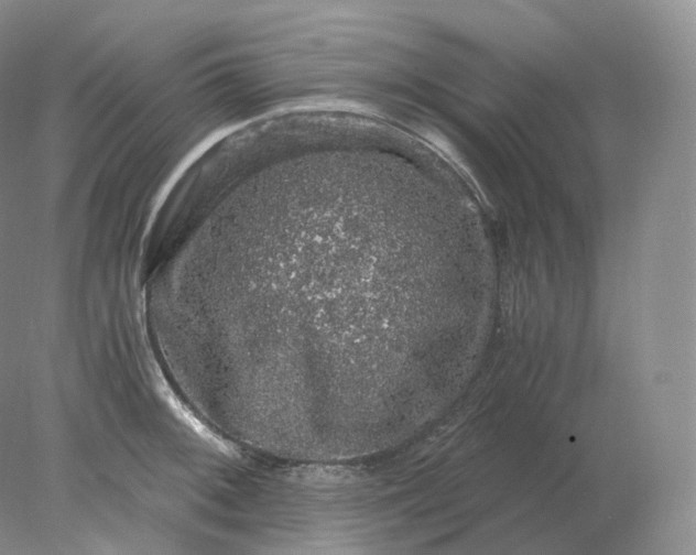 X0000078301092200611172142