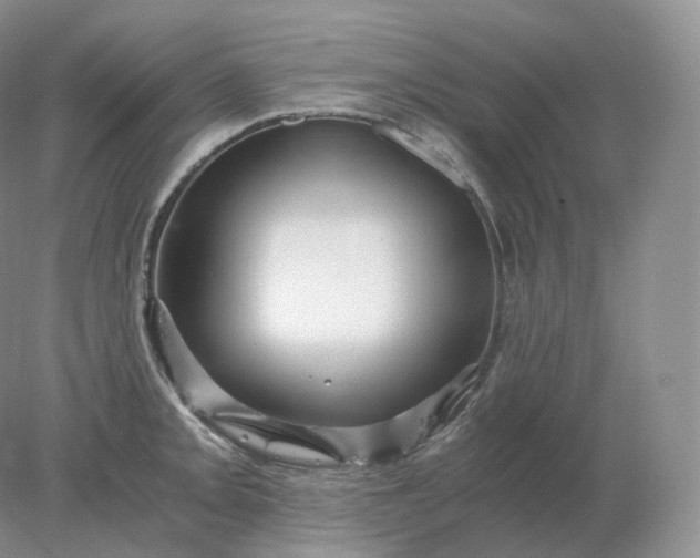 X0000078301093200611172142