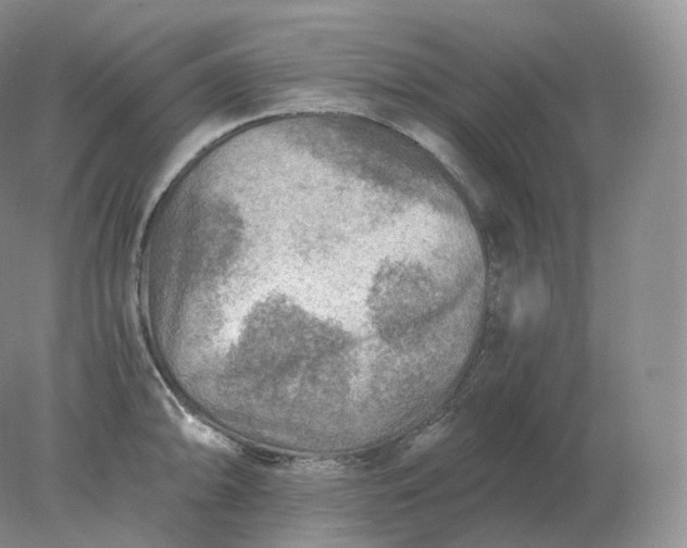 X0000078301094200611172142