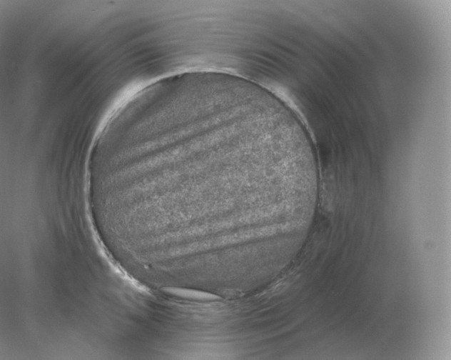 X0000078301096200611172142