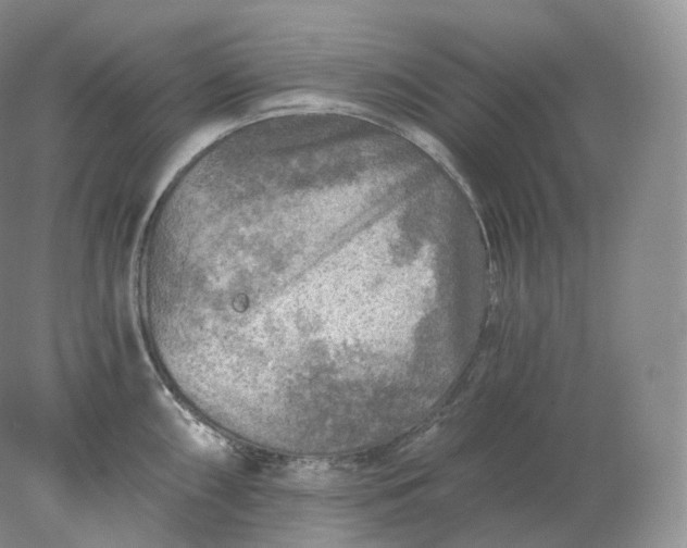 X0000078301098200611172142