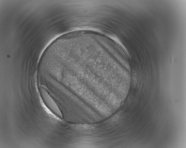 X0000078301100200611172142