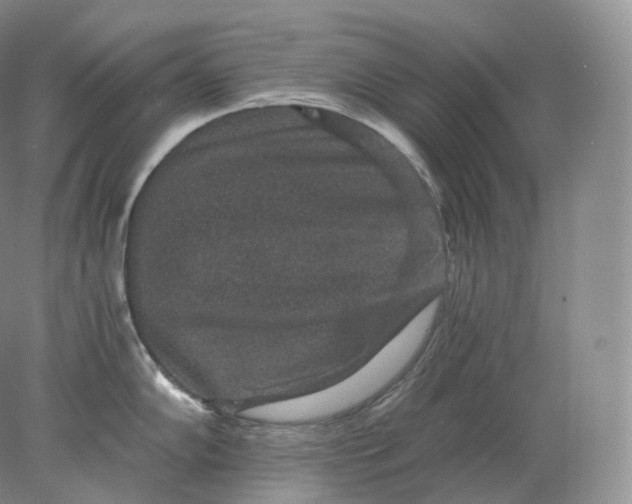 X0000078301102200611172142