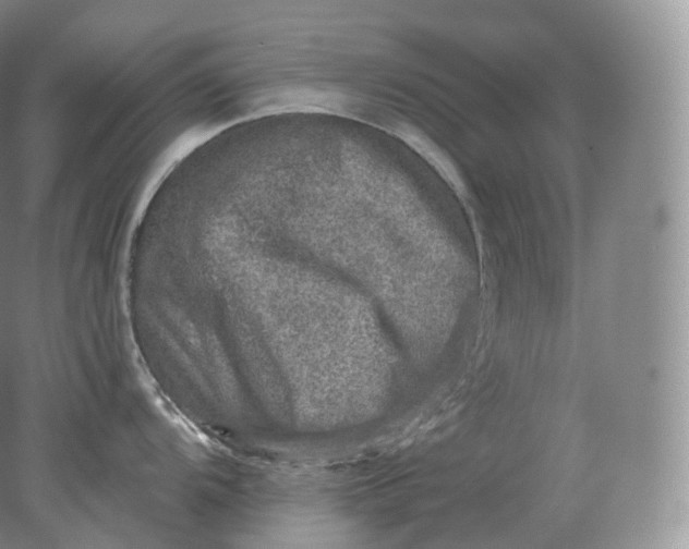 X0000078301104200611172142