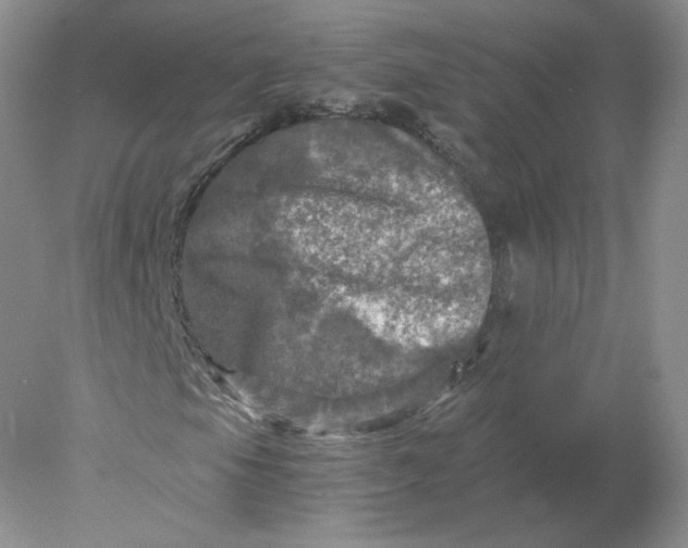 X0000078301105200611172141